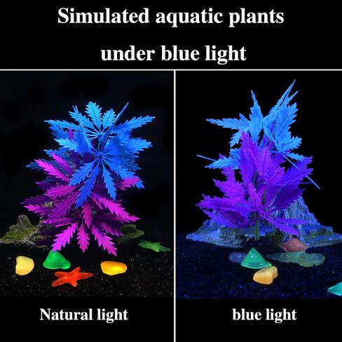 ديكورات حوض السمك، ديكورات حوض السمك، نباتات مائية متوهجة، زخرفة سيليكون صناعية مع تأثير متوهج لديكور المناظر الطبيعية لخزان الأسماك، ديكور حوض أسماك بيتا (أزرق) in Kuwait