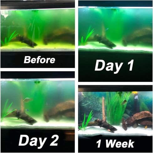 مصباح شفاف لتنظيف مياه حوض السمك، آلة تنظيف خضراء مع غلاف حماية يناسب خزان الأسماك سعة 20-200 جالون، ضوء مقاوم للماء لمرشح مضخة البركة 5 وات 254 نانومتر (المضخة غير متضمنة، المصباح داخل الغلاف) in Kuwait