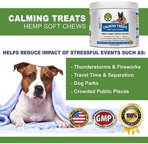 DakPets Hemp Calming Treats for Dogs - Made in USA w/Hemp Oil - Dog Anxiety Relief - Natural Separation Aid - Stress Relief - Fireworks - Storms - Barking 120 Soft Chews in Kuwait