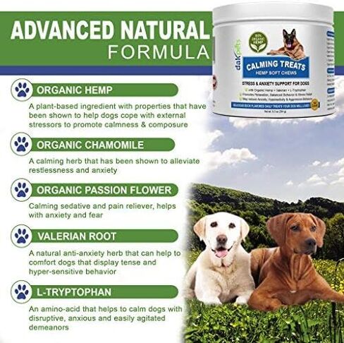 DakPets Hemp Calming Treats for Dogs - Made in USA w/Hemp Oil - Dog Anxiety Relief - Natural Separation Aid - Stress Relief - Fireworks - Storms - Barking 120 Soft Chews in Kuwait