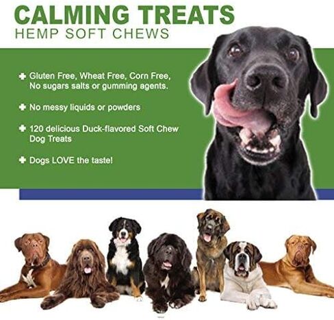 DakPets Hemp Calming Treats for Dogs - Made in USA w/Hemp Oil - Dog Anxiety Relief - Natural Separation Aid - Stress Relief - Fireworks - Storms - Barking 120 Soft Chews in Kuwait