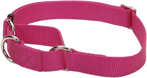 Coastal Pet - No Slip - Martingale Adjustable Dog Collar, Pink Flamingo, 3/4" x 14-20" in Saudi Arabia