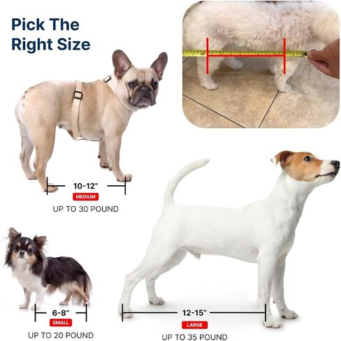 Dog Grooming Hammock - Dog Nail Clipping Hammock - Grooming Hammock - Cat Grooming Harness - Cat Holder Grooming - Cat Restraint Nail Trimming - Cat Nail Trimming - Cat Nail Clipper Hammock in Saudi Arabia