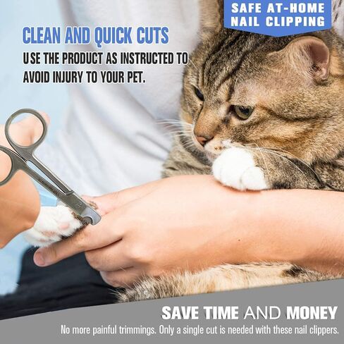 مقص أظافر القطط من YNR مصنوع من الفولاذ المقاوم للصدأ لقص مخالب القطط للأرانب وخنازير غينيا والطيور والجراء والقطط والحيوانات الصغيرة مقص أظافر الحيوانات الأليفة in Kuwait