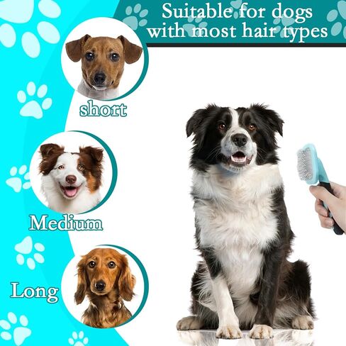 Dog Brush and Cat Brush, Pet Grooming Brush Gently Cleans Pin Brush for Hair Removal Cat and Dog Hair Brush for Small Dogs Yorkshire Terrier Pomeranian Poodle and Cat in Saudi Arabia