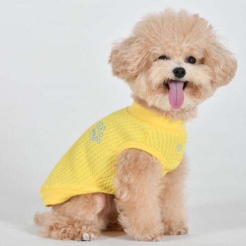 Pinkaholic New York Spring/Summer Grace Dog Shirt Trendy Fashionable Cute Dog Apparel, Green, Large in Saudi Arabia