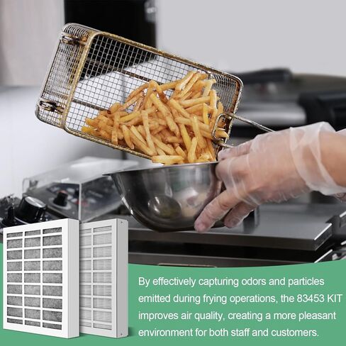 83453 83543 83544 فلتر مقلاة الهواء، فلتر مرحلتين للمقالي المثالية، يزيل أي روائح، لـ 2FK001 2FR00801 PFC570、PFA570、PFA720 in Kuwait