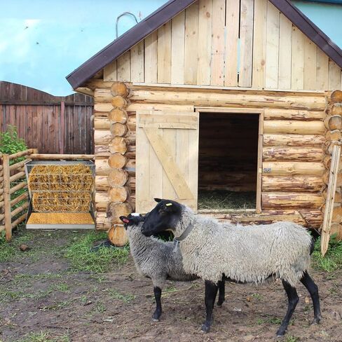 تغذية القش للماعز والحصان، وحدة تغذية القش للماعز، معدن شديد التحمل 2 في 1، وحدة تغذية القش والحبوب، سعة كبيرة، رف القش مع خطاف قابل للتعديل لتثبيت مختلف، وحدة تغذية القش للماعز والأغنام والأبقار in Kuwait