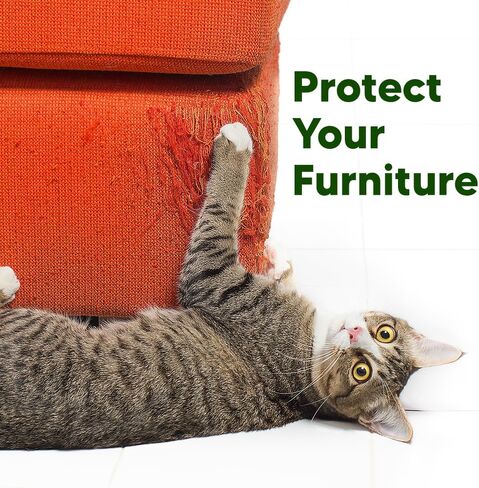 Banana Cat Scratcher Cardboard, Scratch Pad with Cat Scratcher Box, Reversible Cardboard Refill Pad, Lounge for Indoor Cats, Cardboard Scratcher with Catnip in Saudi Arabia