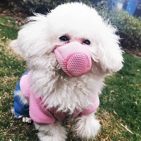 كمامة للحيوانات الأليفة، غطاء فم الكلب الواقي قابل للتنفس ومضاد للعض وقابل للتعديل كمامة مضادة للضباب للكلاب الصغيرة والمتوسطة (XS-رمادي) in Kuwait