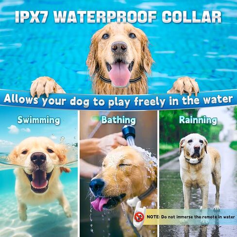 Dog Shock Collar with Remote - [2024 Newly Upgraded] Dog Training Collar for Small Medium Large Dogs, Rechargeable E Collar for Dogs Training, IPX7 Waterproof Electric Collar with Unique Shock-Lock in Saudi Arabia