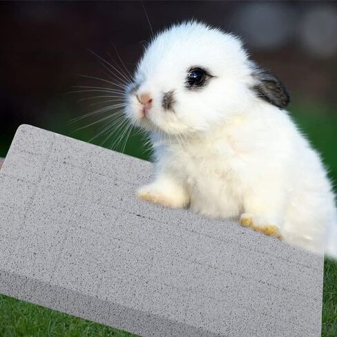 VTurboWay أرنب طحن وسادة مخلب الحمم طحن الأسنان حجر مضغ لعبة وسادة القدم للأرنب أرنب شينشيلا خنزير غينيا توتورو القنفذ الهامستر القوارض الحيوانات الصغيرة in Kuwait