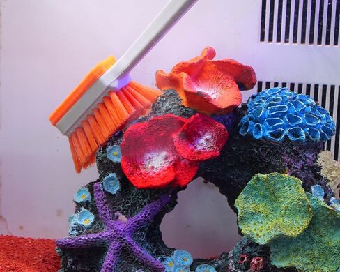 فرشاة تنظيف حوض السمك على الوجهين، أداة تنظيف إزالة الطحالب، فرشاة متعددة الوظائف لخزان الأسماك in Kuwait