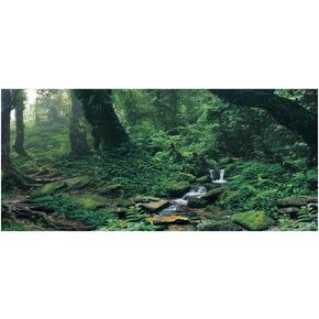Backdrop Decoration Paper,PVC Adhesive Riverway Green Woods Aquarium Background Poster Sticker Fish Decoration Fish Backdrop Static Cling Wallpaper Sticker (2.00 * 1.35ft)