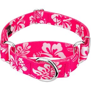 Country Brook Petz - Pink Hawaiian Martingale Dog Collar - Summer Breeze Collection featuring Sunny Designs (1 Inch, Medium)