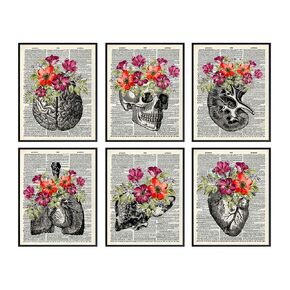 Heart, Skull, Brain, Lungs, Kidney, Liver Wall Art Decor - Human Anatomy Room Decorations - Medical Office Decor - Shabby Chic Gift for for Doctor, Nurse, Women, RN - Poster Picture Prints Set