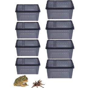 PINVNBY Reptile Feeding Box 6 PCS Snake Breeding Box Lizard Cage Habitat Hatching Container Transparent Portable Plastic Pet House for Spider Scorpion Gecko Tortoise Treefrog (White 2 Large 4 Small)