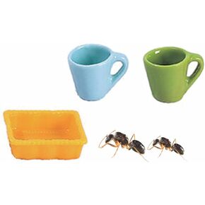 Spider Micro Water Bowl, 3 Pack Mini Liquid Feeder Ant Bowl, Ant Farm Water Feeder, Small Insect Water Bottle, Food Bowl Tarantula Mini Dish for Millipede Tiny Bugs Reptiles