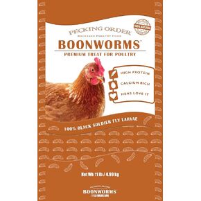 Boonworms Treat for Chickens are Protein and Calcium Rich Black Soldier Fly Larvae to Support Laying Hens (11 LB)