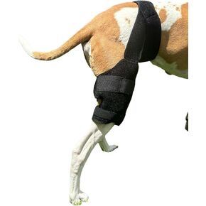 Labra Dog Canine K9 Hot Cold Ice Heat Therapy Knee Wrap for ACL MCL CCL Patella Injuries Sprain Strain Arthritis Senior Dog