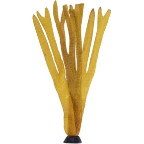 Underwater Treasures Ocean Kelp - Brown