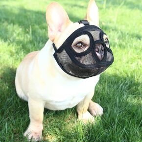 Short Snout Dog Muzzle - Adjustable Breathable Mesh Bulldog Muzzle for Barking Biting Chewing Training (Grey(Not Tongue Out), M)