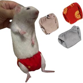 Squirrel Diapers-Highly Absorbent with Strong & Flexible Hook and Loop Pants No Leak Reusable Diapers Urine Wet Pants for Squirrel,Fancy Rat,Groundhog (3pc, M)