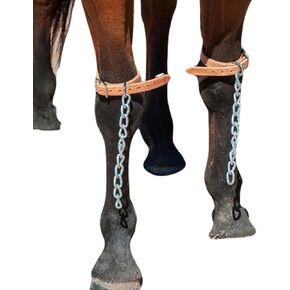 Martin Saddlery Pawing Chains