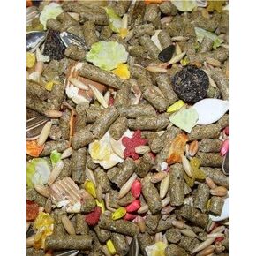 Higgins 466573 Higg Sunburst Guinea Pig Food, 25-Pound