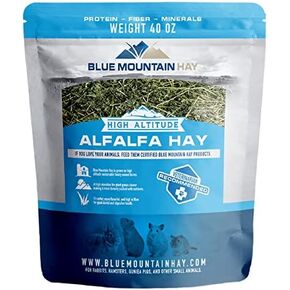 | 40 oz. Fresh Alfalfa Hay | Available in 15 oz. & 40 oz. Pouches | Nutritious, Delicious Meal Or Snack for Rabbits, Guinea Pigs, Hamsters, Gerbils, Rats, and Other Small Pets