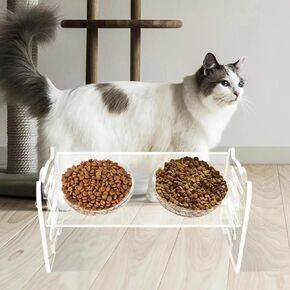 Elevated Dog Bowls for Small Dogs and Cats - Adjustable Tilted Cat Bowls Whisker Friendly - Acrylic Raised Cat Dog Food Bowls with Stand - Slow Feeder Dog Bowls Orthopedic Cat Bowl Anti-Vomiting
