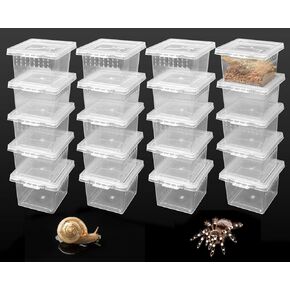 20 قطعة من حاوية حبال الرتيلاء، قفص صغير الحجم للحشرات، حاوية بلاستيكية للتفريخ، صندوق تربية شفاف، حامل صغير للحلزون الصغير المفصلي (2x2x1.77 بوصة) in Kuwait