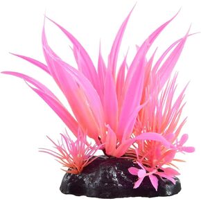 Underwater Treasures Glow Star Plant - Pink