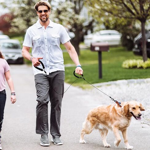 6FT Chew Proof Dog Leashes with Two Comfortable Padded Handles, Heavy Duty Steel for Large or Medium Dogs Walking and Training Control, Traffic Metal Lead Rope with Rotate Clasp for Puppies -BK in Saudi Arabia
