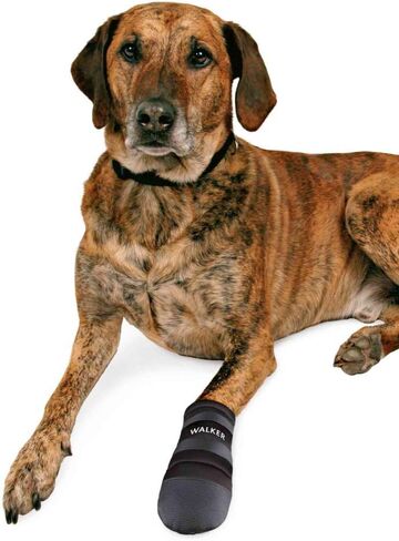 Trixie Walker Care Protective Boots, XL, Black (German Shepherd) in Saudi Arabia