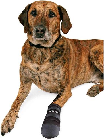 Trixie Walker Care Protective Boots, XL, Black (German Shepherd) in Saudi Arabia
