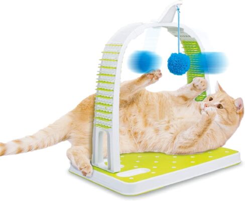 ALL FOR PAWS Cat Self Grooming Arch with Play Ball, Reduce Shedding & Scratching in Saudi Arabia