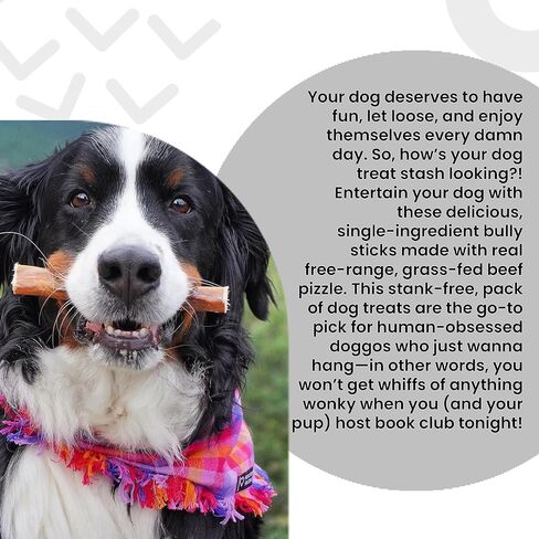 I AND LOVE AND YOU" Free Ranger Braided Bully Stix, Grain Free, Low Odor, 100% Beef Pizzle Dog Chews, Rawhide Free, 6 Inch 3 Count in Kuwait