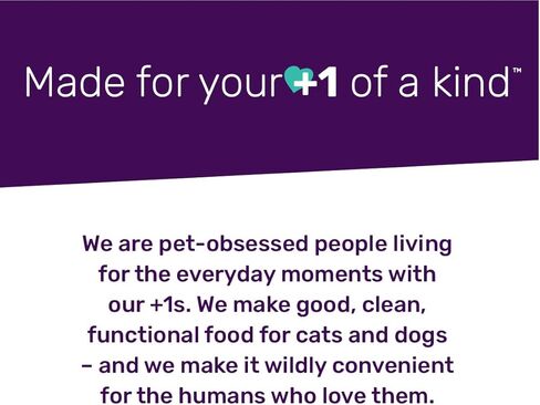 I AND LOVE AND YOU" Free Ranger Braided Bully Stix, Grain Free, Low Odor, 100% Beef Pizzle Dog Chews, Rawhide Free, 6 Inch 3 Count in Kuwait