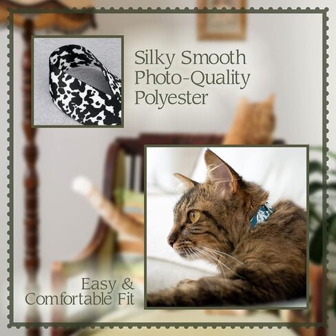 Country Brook Petz - Star Spangled Cat Collar - Americana Collection with 6 Patriotic Designs in Saudi Arabia