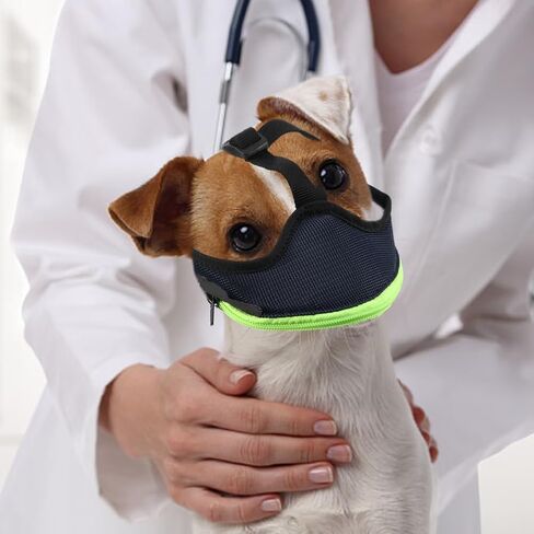 كمامة للكلاب، كمامات مغطاة بشبكة ناعمة للكلاب الصغيرة والمتوسطة والكبيرة، فلتر حماية للطعم المسموم مع أشرطة قابلة للتعديل، تمنع العض والمضغ (الحجم: L) in Kuwait