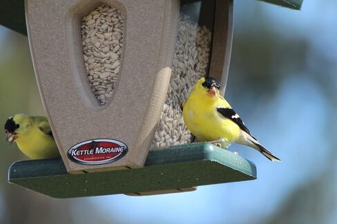 Kettle Moraine Recycled Mini Moraine Hopper Feeder (Green/Chocolate) in Saudi Arabia
