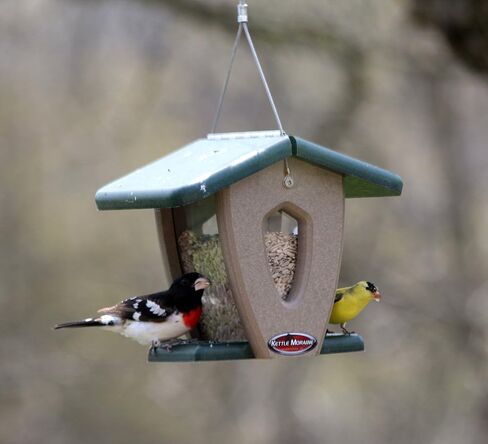 Kettle Moraine Recycled Mini Moraine Hopper Feeder (Green/Chocolate) in Saudi Arabia