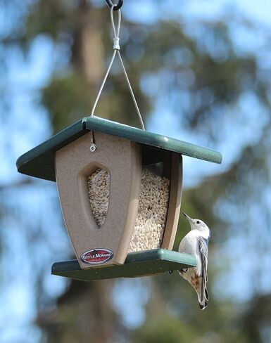 Kettle Moraine Recycled Mini Moraine Hopper Feeder (Green/Chocolate) in Saudi Arabia
