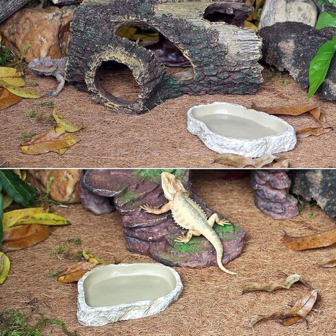 (2 Pack) Rock Water/Food Dish for Reptiles – Amphibians and Other Little Critters Water/Food Bowl, Made from Premium Non-Toxic Resin – Small Size in Saudi Arabia