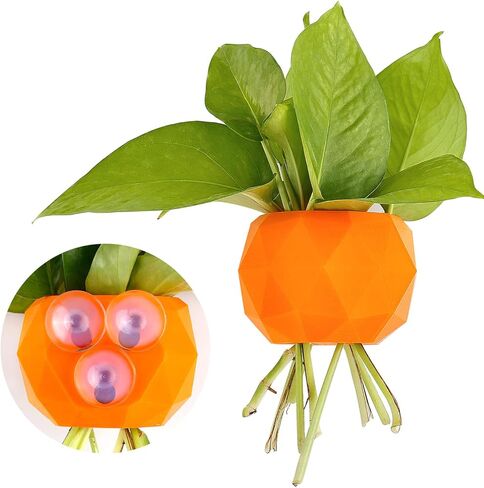 Hanging Plant Holder, Aquarium Plant Holder, Aquarium Plant Pots with Suction Cups for Fish Tank Aquaponic Plant Cultivation, and Aquascape Decorations (Orange) in Saudi Arabia