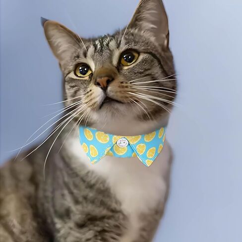 Campsis 2 Pack Breakaway Cat Collars Furit Pattern Cat Collar Safety Adjustable Flower Kitten Collar with Removable for Boy Cats and Girl Cats (Fruits pattern) in Saudi Arabia