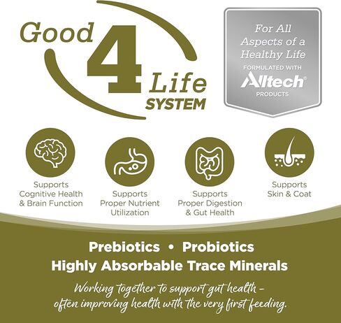 بيورفيتا طعام البط للقطط خالي من الحبوب، 6.6 رطل in Kuwait