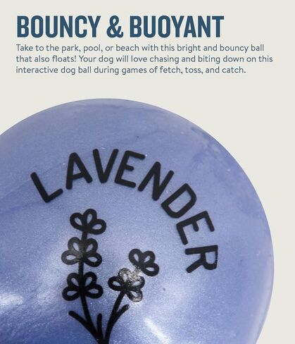 Planet Dog Orbee-Tuff Essentials Lavender Scented Interactive Dog Ball Treat Dispenser Toy, Purple in Saudi Arabia