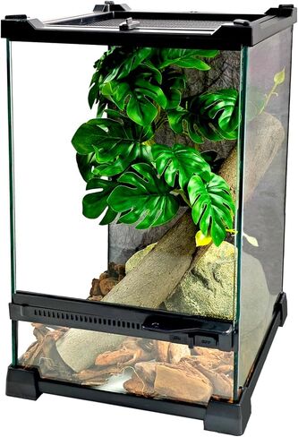 Reptile Glass Terrarium Tank 8"x8"x12", Front & Top Opening Door Full View Visually Appealing Mini Reptile or Amphibians Habitat, Stackable Vertical Enclousure for Small Reptiles in Saudi Arabia